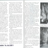 nr 1 (06)